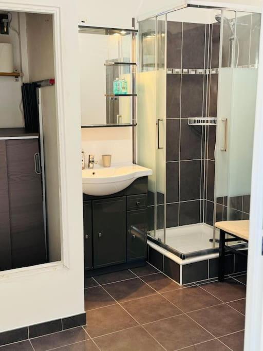 Superbe Duplex-15 Min Disneyland Villa Croissy-Beaubourg Bagian luar foto